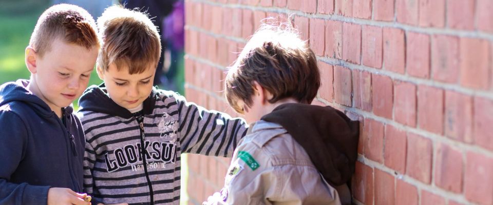 Pesten Voorkomen | Scouts En Gidsen Vlaanderen